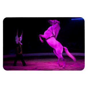 Rosa Zirkus Magnet