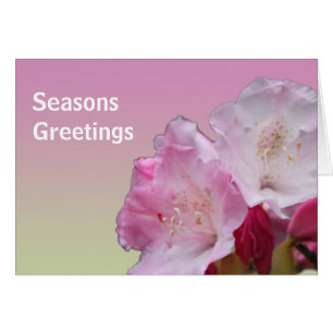 rosafarbene Rhododendronblumen Grüße zum Jahreswec