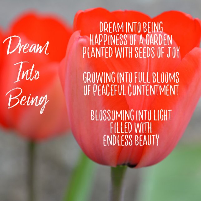 Rosafarbenes Blumengedicht Traum (von mir geschrie Magnet (poem written by me)
