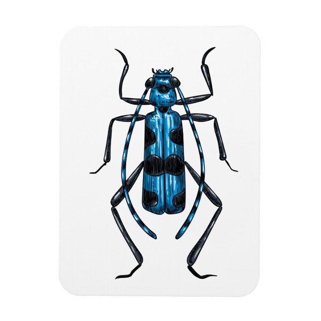 Rosalia Alpina Käfer Magnet (Vertikal)