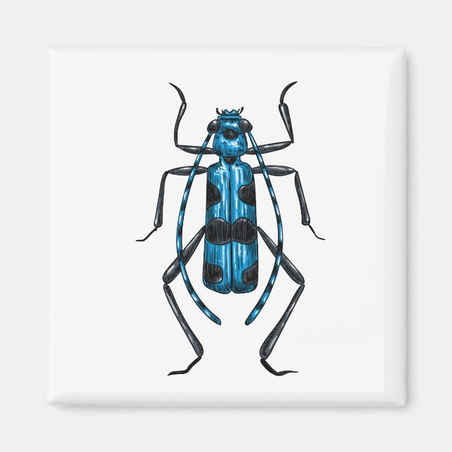 Rosalia Alpina Käfer Magnet (Vorne)