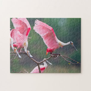 Rosalöffler (Ajaia Ajaja) bei der Landung Puzzle