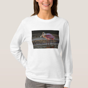 Rosalöffler, Ajaia ajaja, Ding Darling T-Shirt