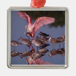 Rosalöffler mit Willet in flachem Wasser Ornament Aus Metall