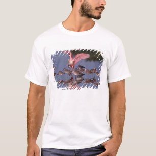 Rosalöffler mit Willet in flachem Wasser T-Shirt