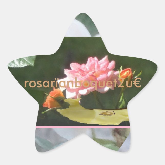 Rosarïanboquet2u Stern-Aufkleber (Vorderseite)