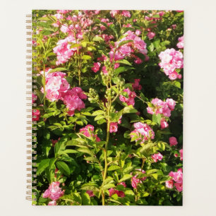 Rosarium Planer