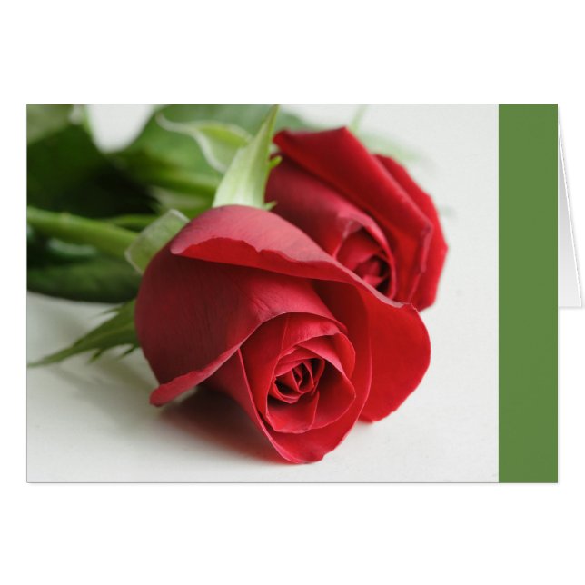 Rose (Vorderseite (Horizontal))