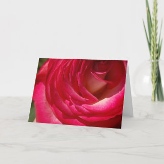 Rose10 Karte