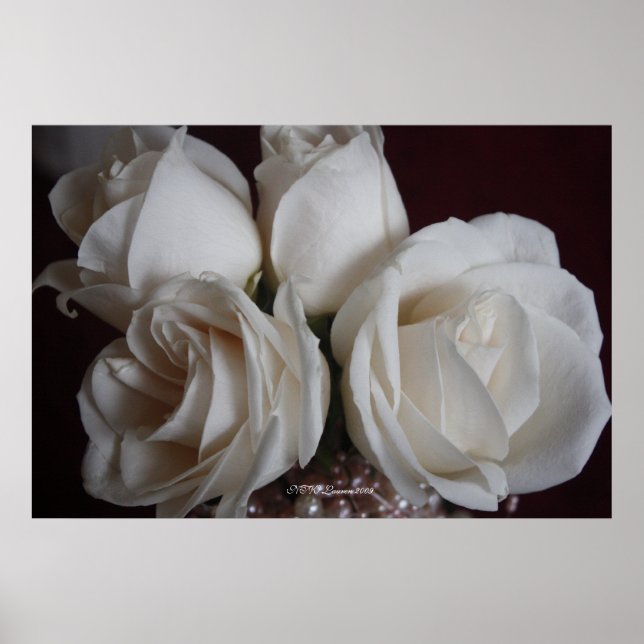 Rose 15 poster (Vorne)