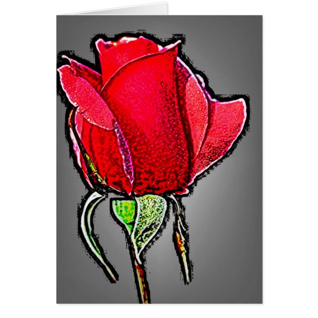 Rose 25 (Vorne)
