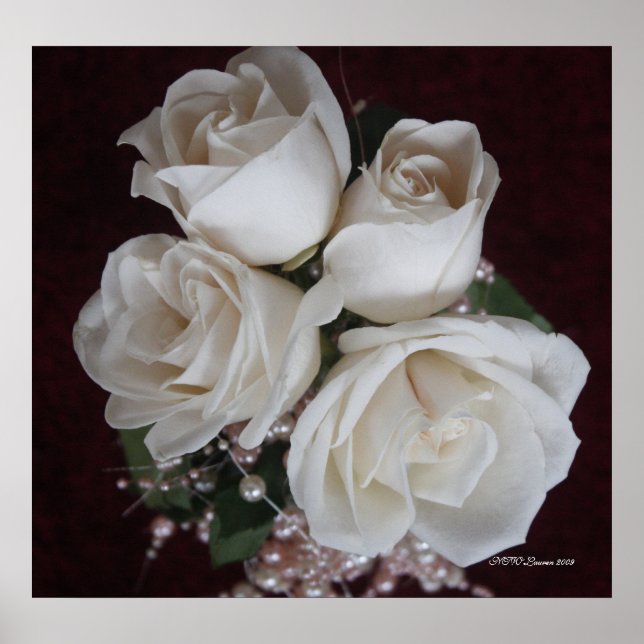 ROSE 2 POSTER (Vorne)