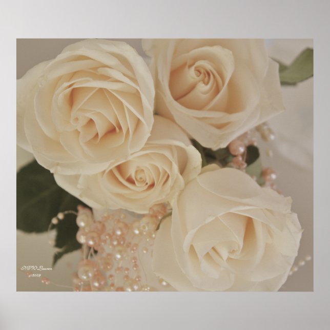 ROSE 3 POSTER (Vorne)