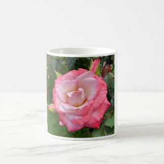 Rose #3 Tasse