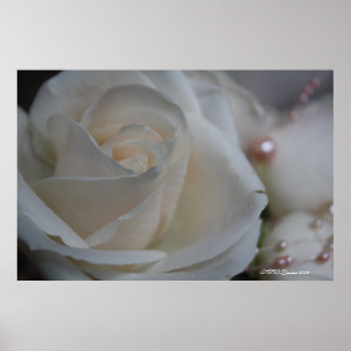 ROSE 6 POSTER