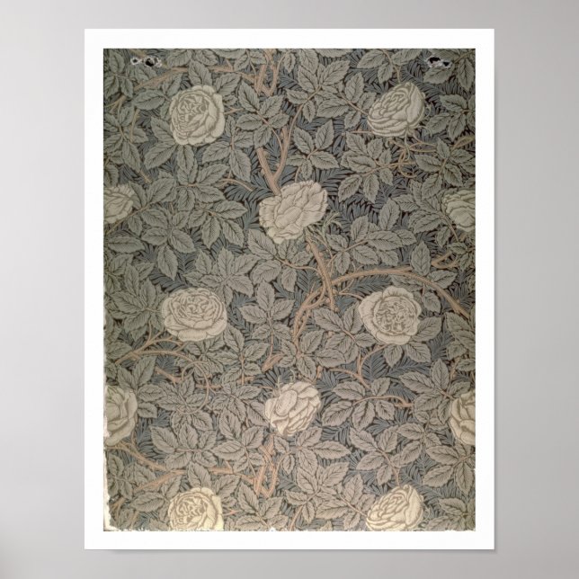 "Rose-90"-Tapete Poster (Vorne)