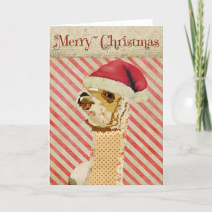 Rose Alpaca Weihnachtskarte Feiertagskarte