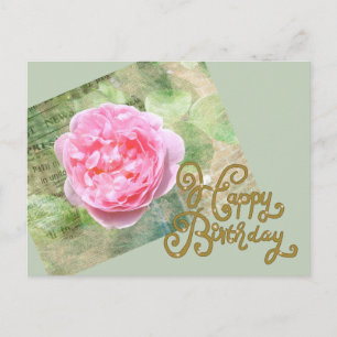 Rose an der Wand Postkarte