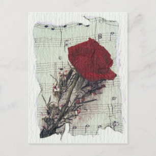 <Rose and Music>von Kim Koza 2 Postkarte