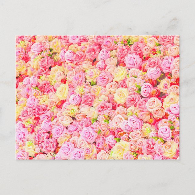 Rose Ankündigungspostkarte (Vorderseite)