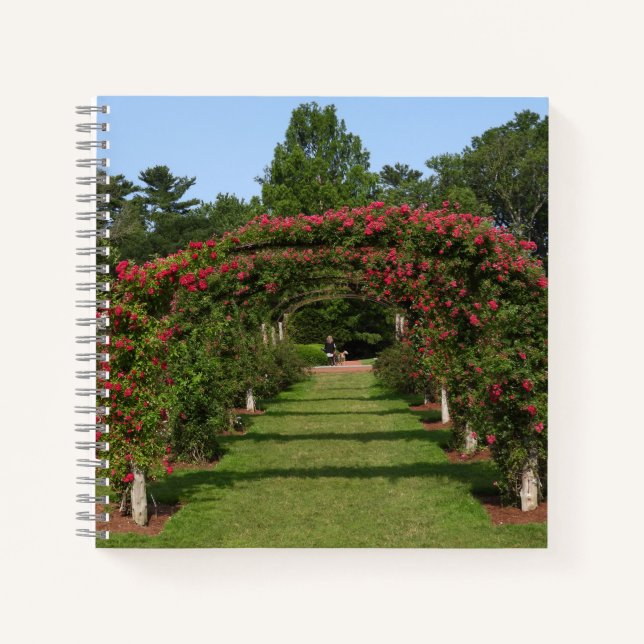 Rose Arch Elizabeth Park Garden Hartford Notizbuch (Vorderseite)