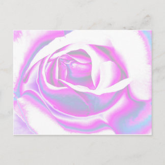 Rose Art Postkarte