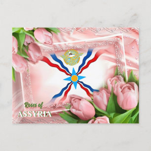 Rose ASSYRIA Postkarte