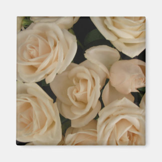 Rose auf dem Kühlschrank Magnet