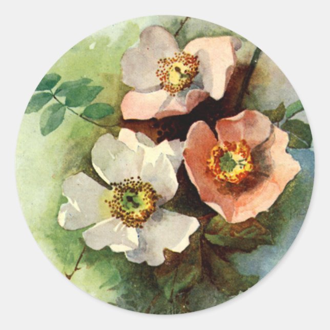 Rose auf dem Weinberg - Aufkleber (Vorderseite)