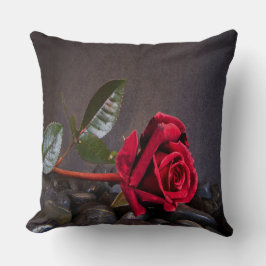 Rose auf den Felsen Kissen