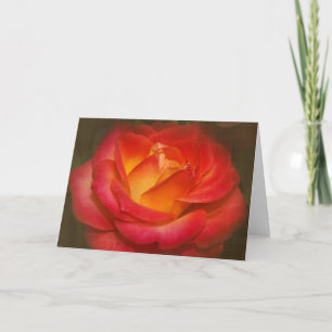 Rose auf Pergament Karte