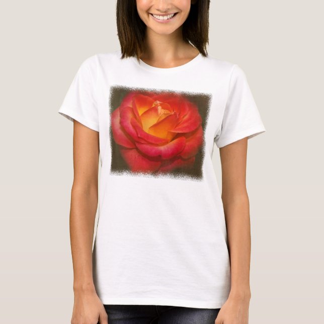 Rose auf Pergament T-Shirt (Vorderseite)