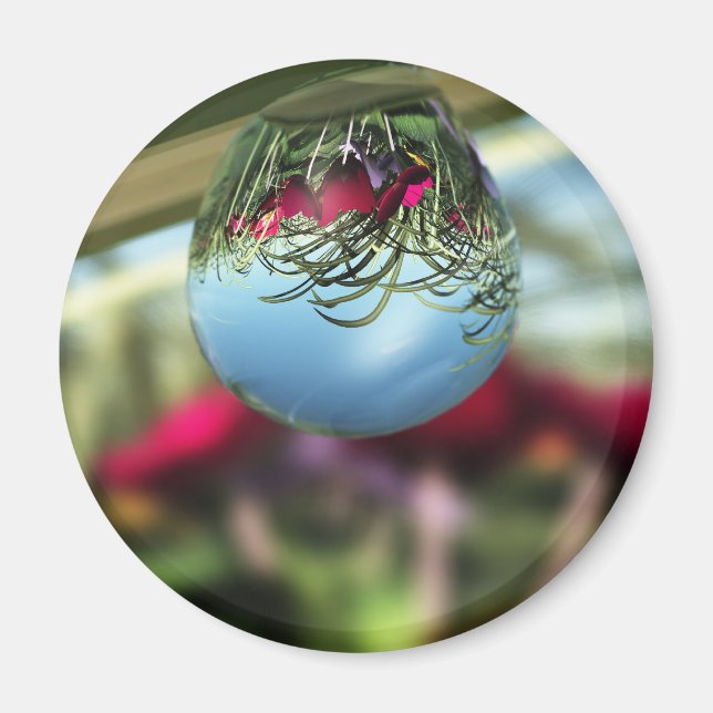 Rose auf Raindrops Magnet (Vorne)