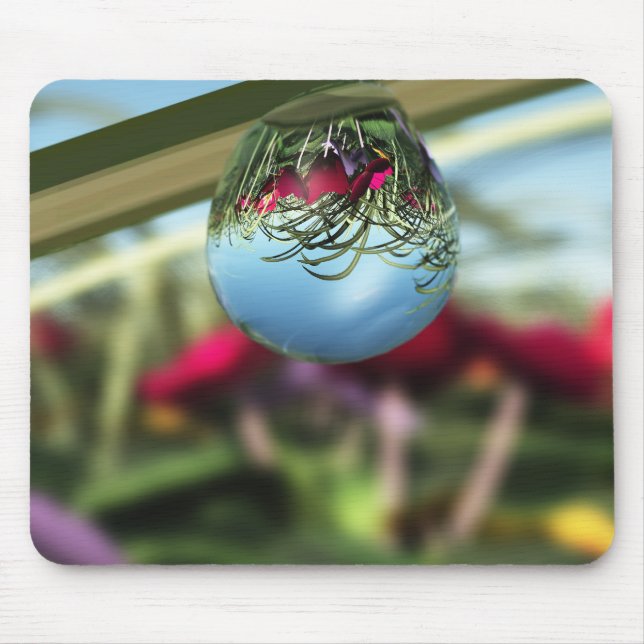 Rose auf Raindrops Mousepad (Vorne)