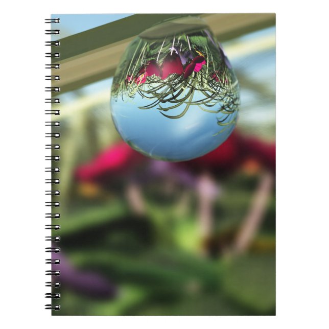 Rose auf Raindrops-Notebook Notizblock (Vorderseite)