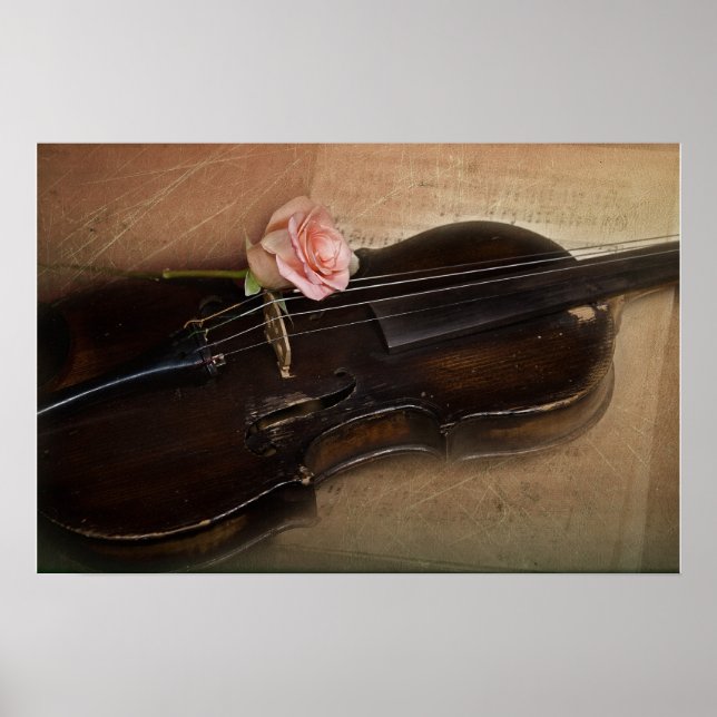 Rose auf Violine Poster (Vorne)