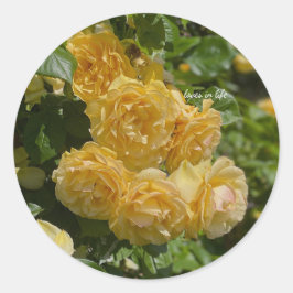 Rose aus dem Gelben Garten Runder Aufkleber