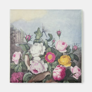 Rose aus dem "Tempel der Flora" Magnet