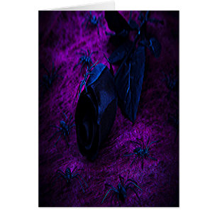 Rose aus schwarzem Material, Schwarze Spinnen