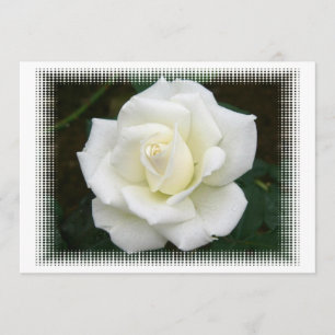 Rose bedeutet Einladung