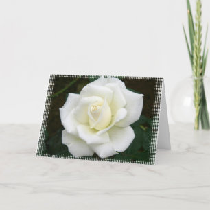 Rose bedeutet Grußkarte Karte