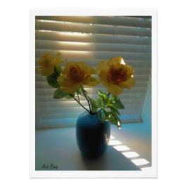 Rose bei Sonnenlicht (2) Fotodruck