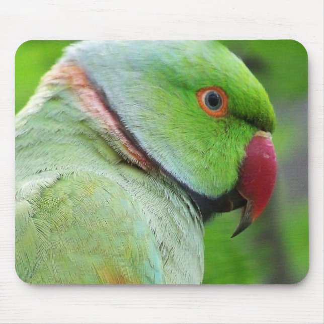Rose-Beringter Parakeet Mousepad (Vorne)