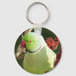 Rose-beringter Parakeet Schlüsselanhänger