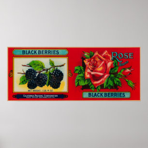 Rose BlackBerry Poster
