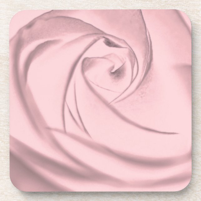 Rose - Blassrosa.jpg Untersetzer (Vorderseite)