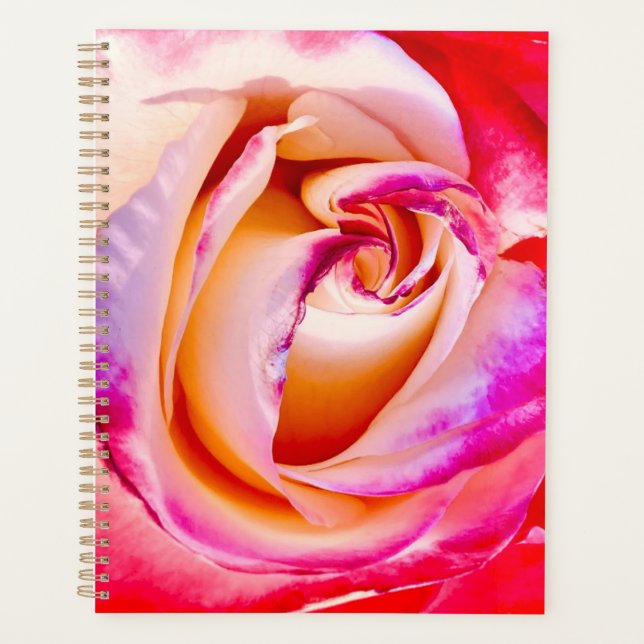 Rose Bloom Spiralplaner Planer (Vorderseite)