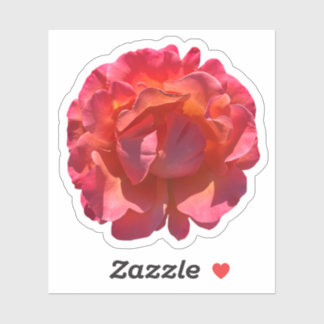 Rose Blossom Aufkleber