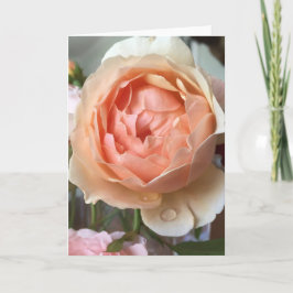 Rose Blossom Card Karte