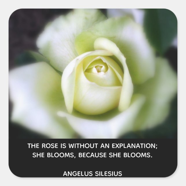 Rose blüht Zitat Quadratischer Aufkleber (Vorderseite)
